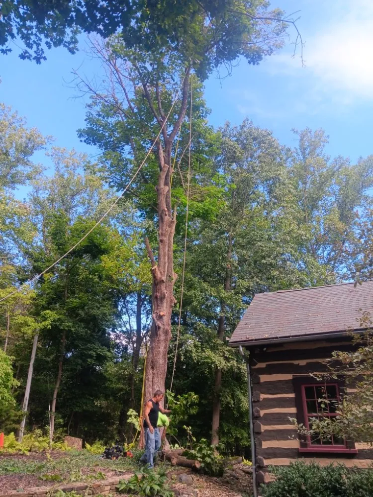 Custom lawn mowing service in Luray, VA by P&W Lawn Care