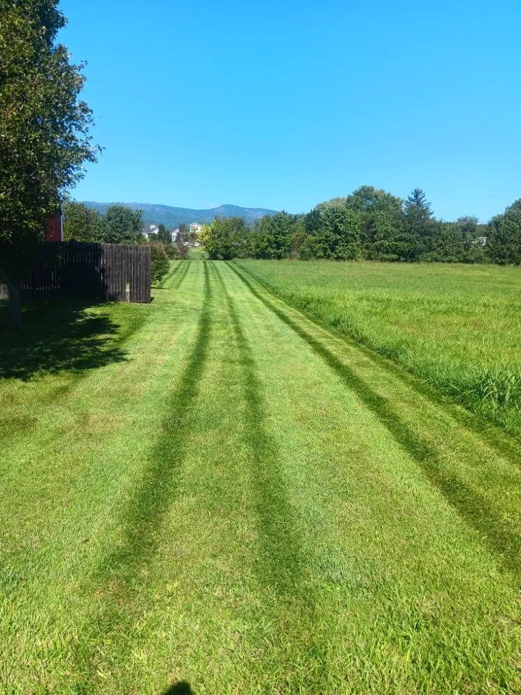 Local outdoor landscaping experts serving Luray, VA - P&W Lawn Care