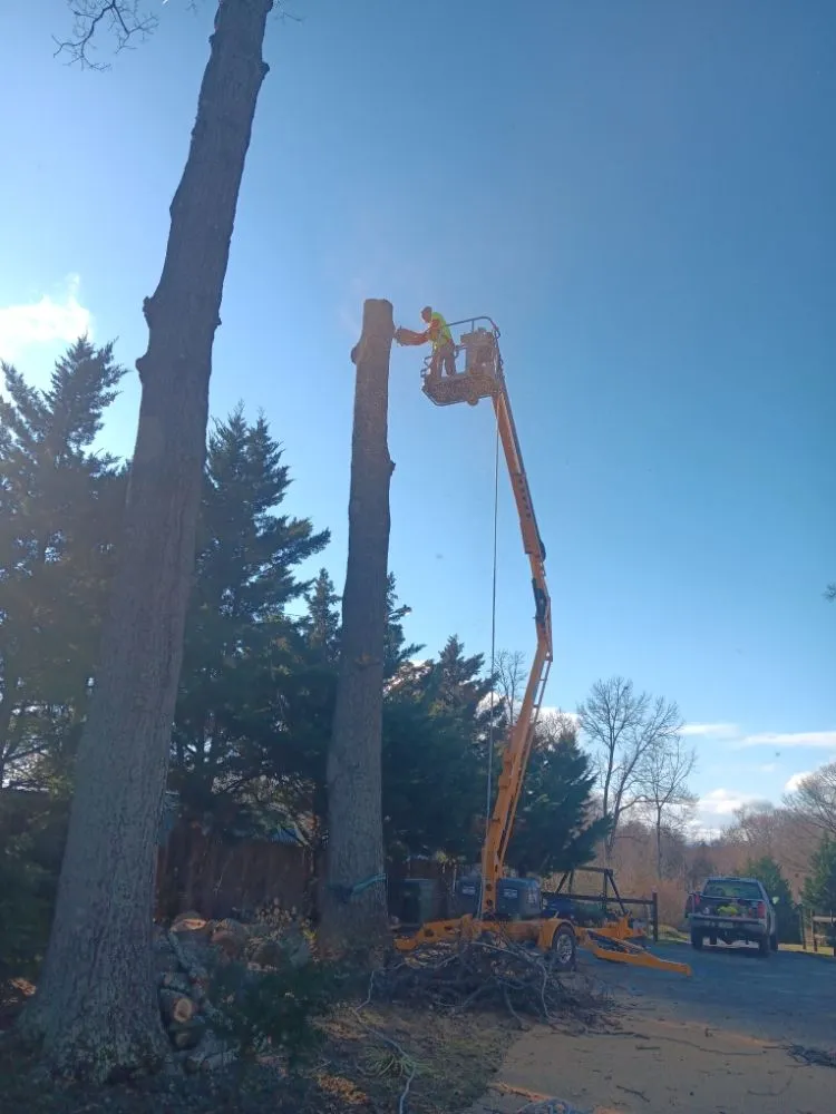 Professional landscape design near you across Luray, VA - P&W Lawn Care