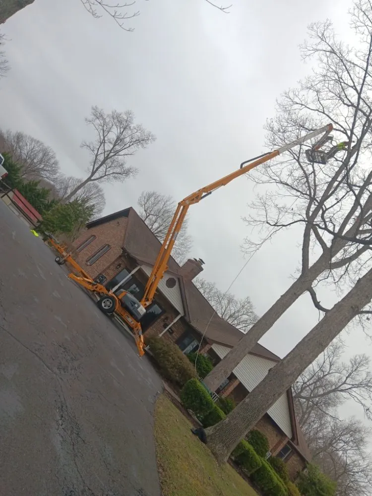 Local landscape design for year-round maintenance across Luray, VA - P&W Lawn Care