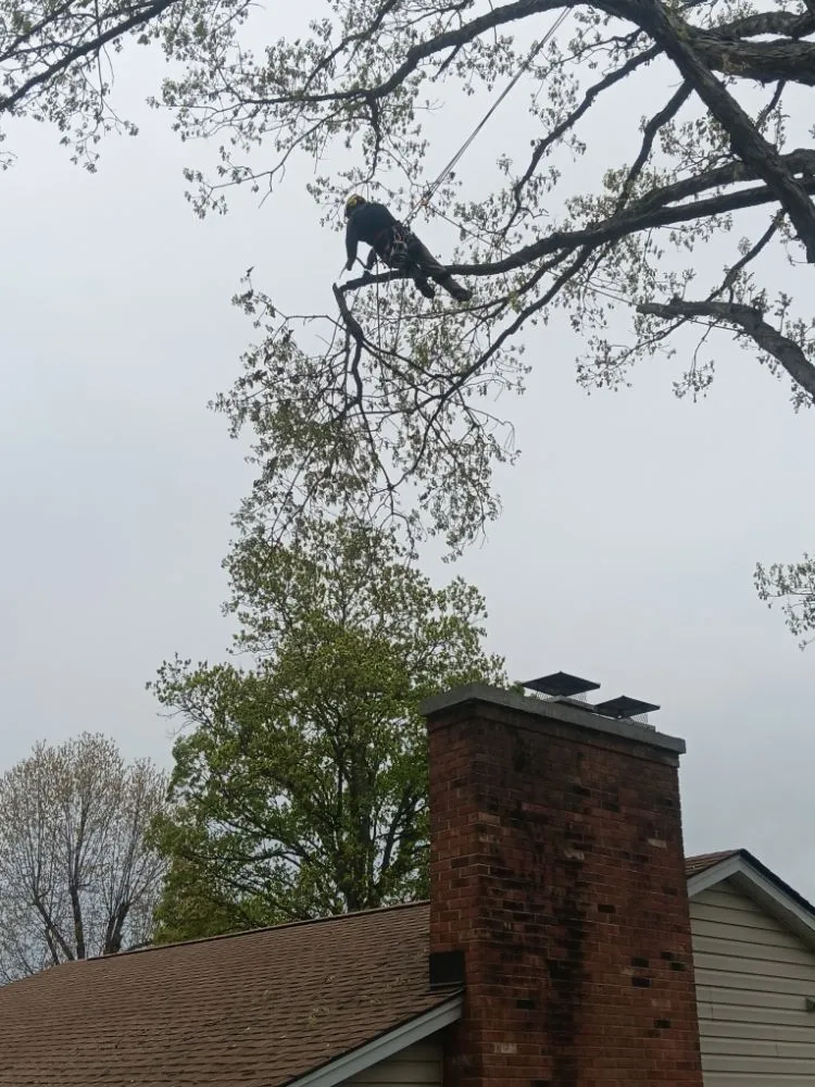 Reliable outdoor landscaping in Luray, VA by P&W Lawn Care