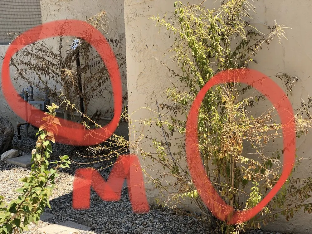 Reliable landscape installation experts serving Palm Springs, CA - PWLC II