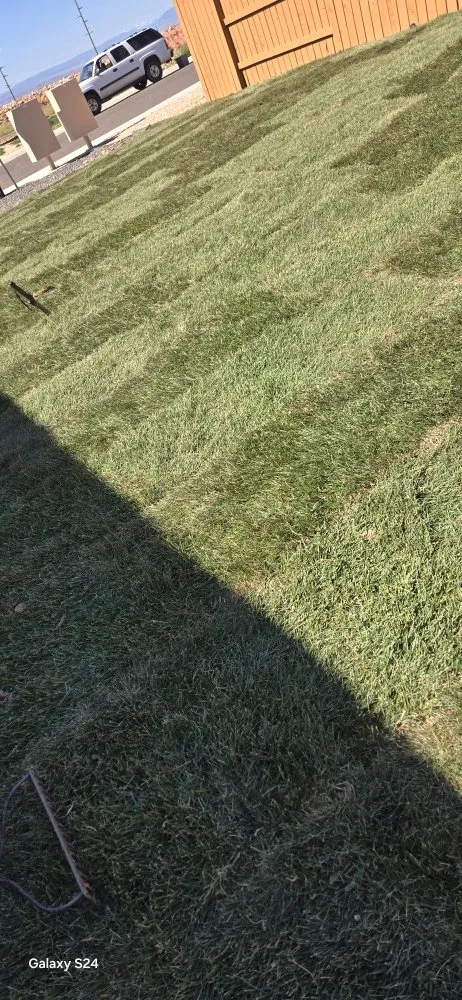 Top-rated outdoor landscaping in Laramie, WY - Pwned3