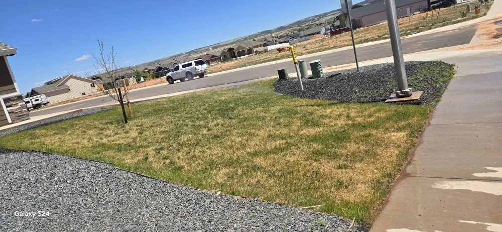 Top-rated residential landscaping in Laramie, WY - Pwned3