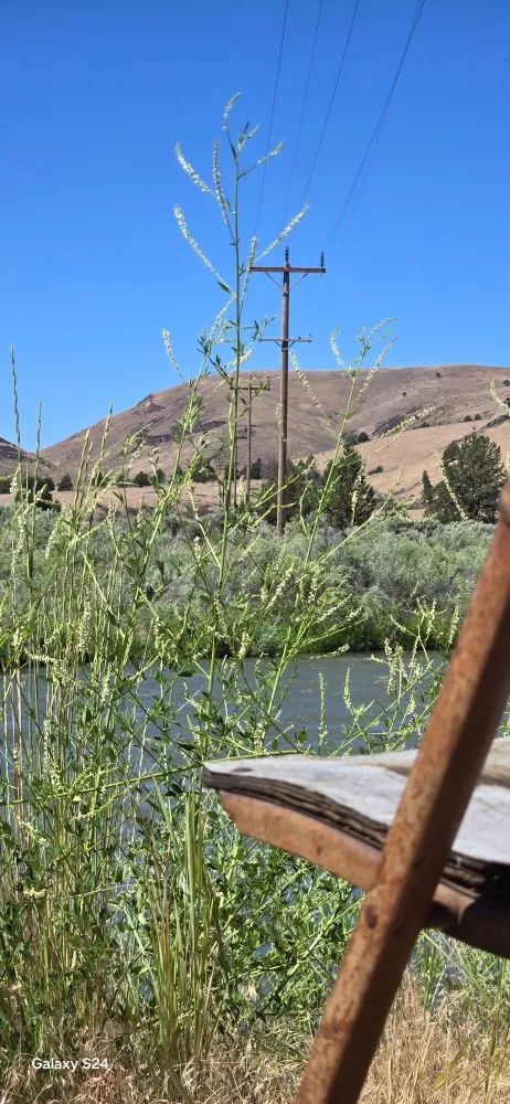 Reliable landscape installation in Laramie, WY by Pwned3