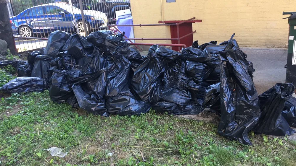 Trusted garden landscaping in Brooklyn, NY by PXN Junk Removals