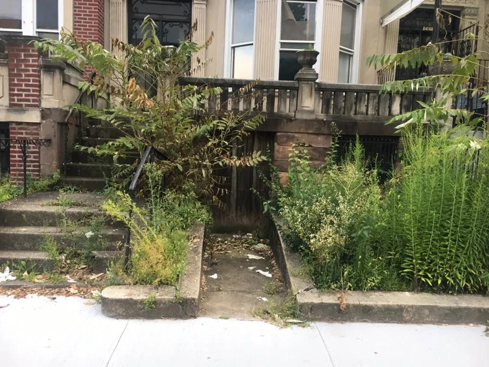 Affordable lawn care service experts serving Brooklyn, NY - PXN Junk Removals