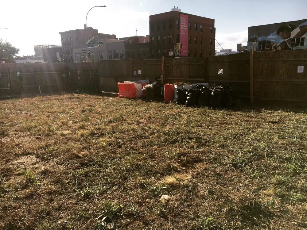 Custom yard maintenance for beautiful yards in Brooklyn, NY by PXN Junk Removals