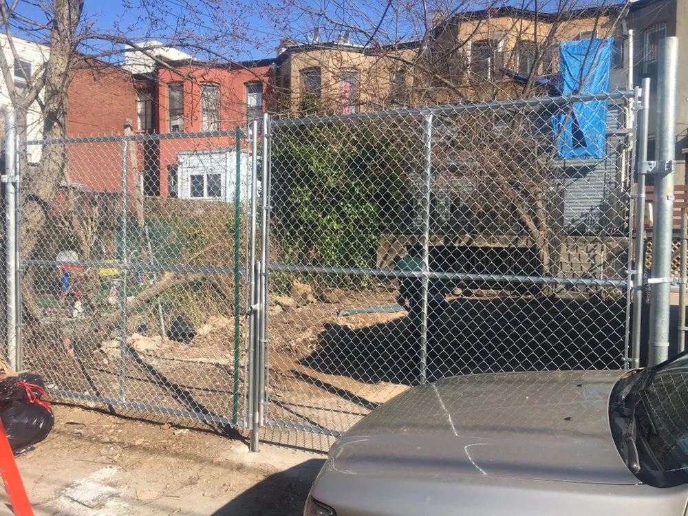 Reliable lawn care service for year-round maintenance in Brooklyn, NY by PXN Junk Removals