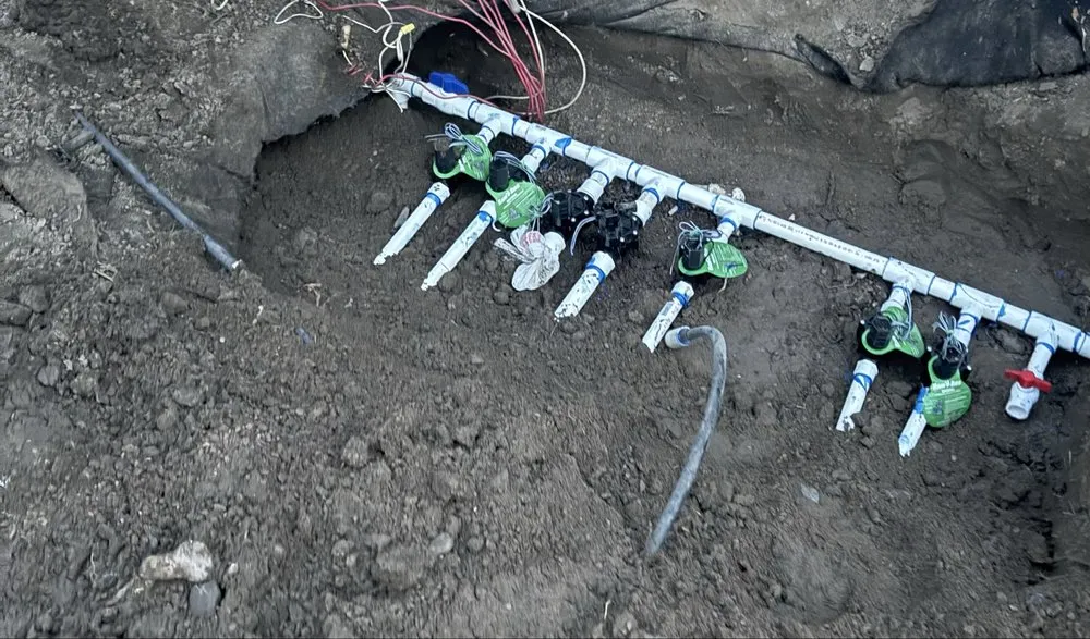 Custom yard cleanup service for homes across Fallon, NV - Pyramid Lawn Care