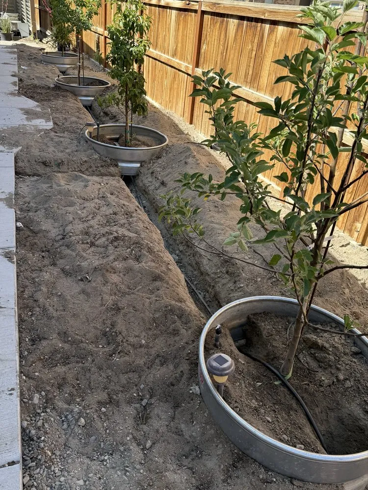 Expert yard cleanup service for year-round maintenance in Fallon, NV by Pyramid Lawn Care