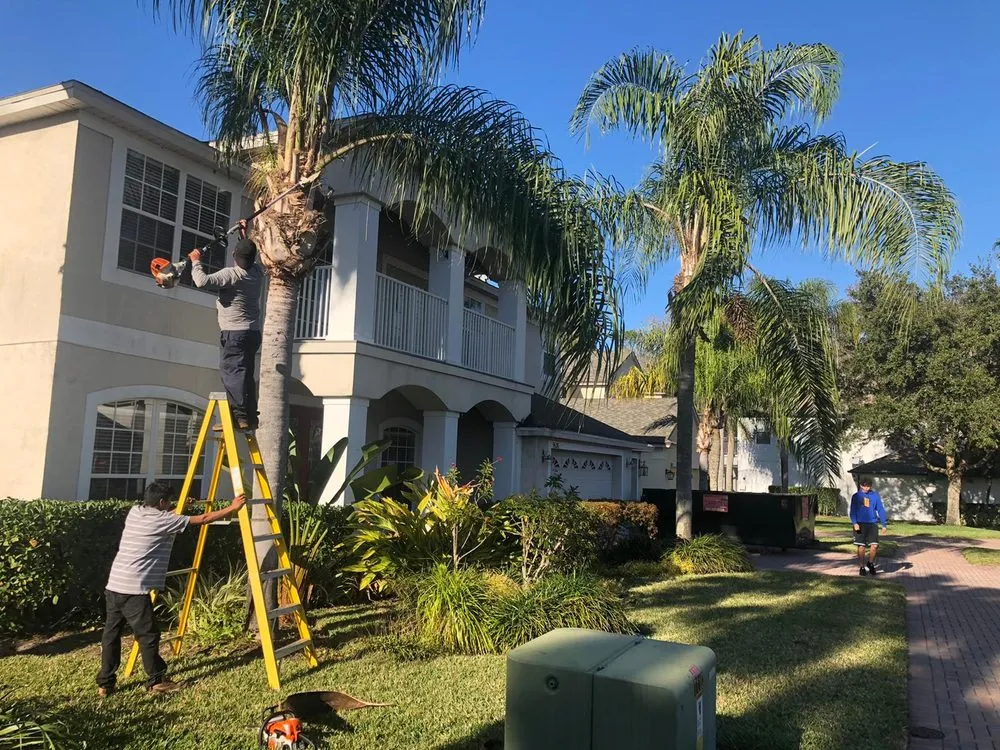 Custom lawn care service experts serving Orlando, FL - Pyramid Lawn Orlando