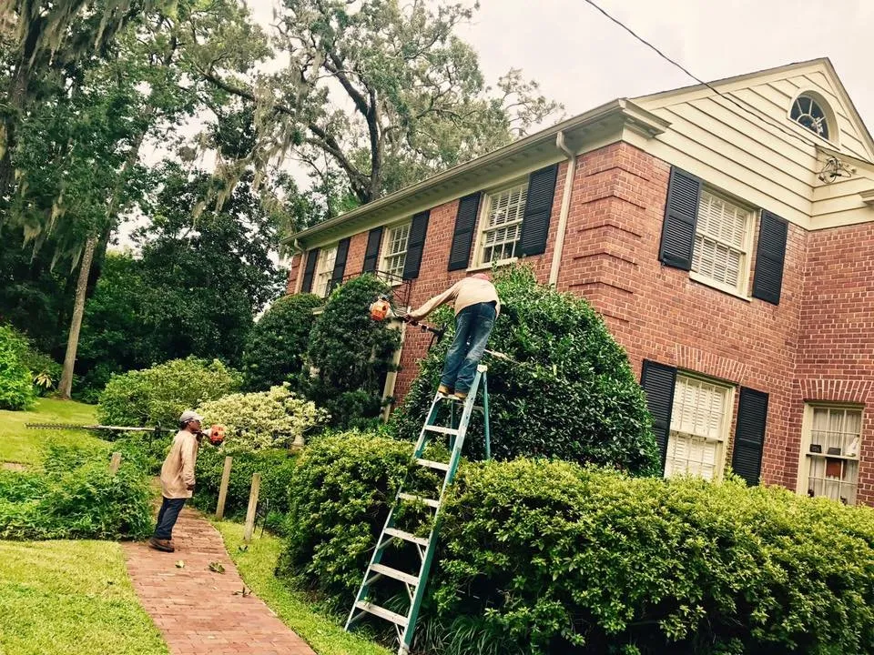 Affordable landscape design in Jacksonville, FL by Pyramid Lawn Services