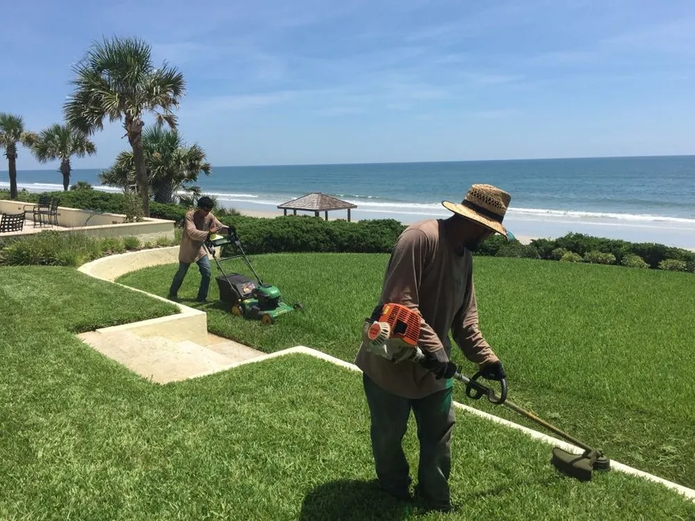 Reliable yard maintenance for year-round maintenance in Jacksonville, FL by Pyramid Lawn Services