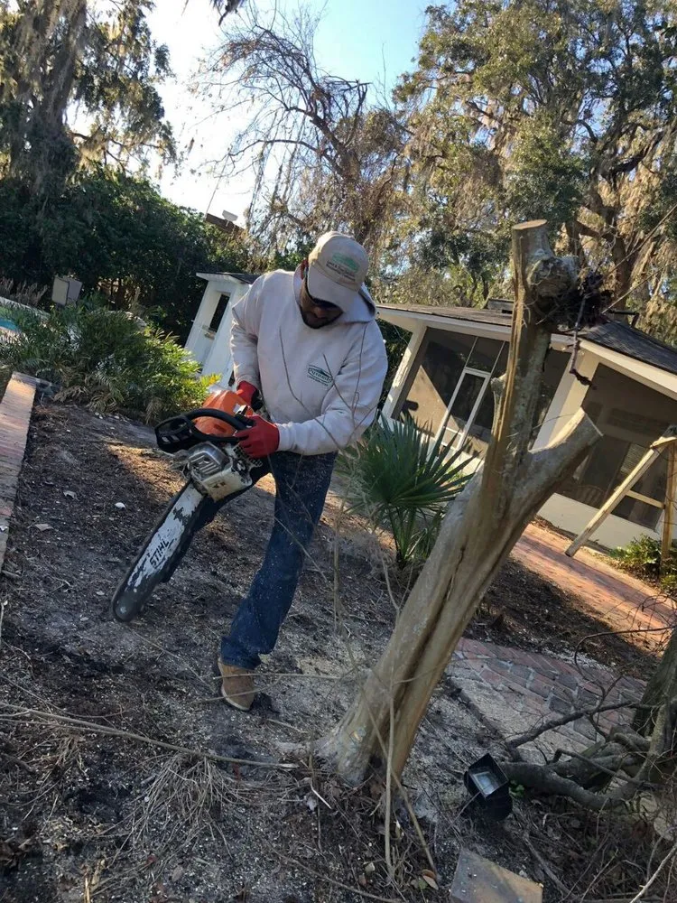 Professional outdoor landscaping experts serving Jacksonville, FL - Pyramid Lawn Services