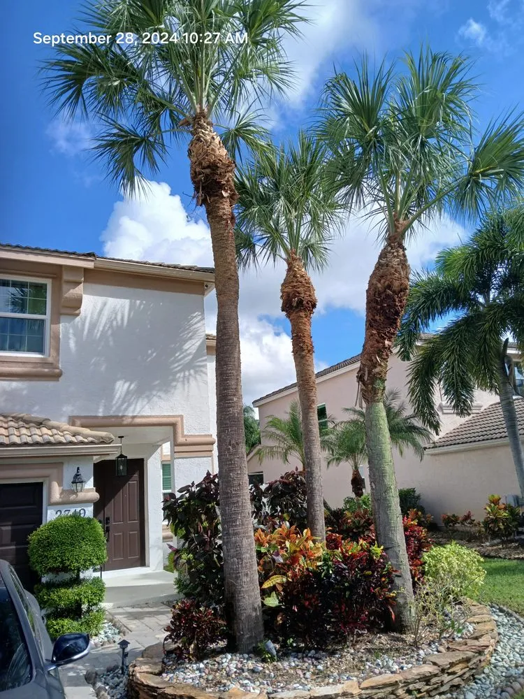 Top-rated landscape design for beautiful yards in West Palm Beach, FL by Pyramide Services