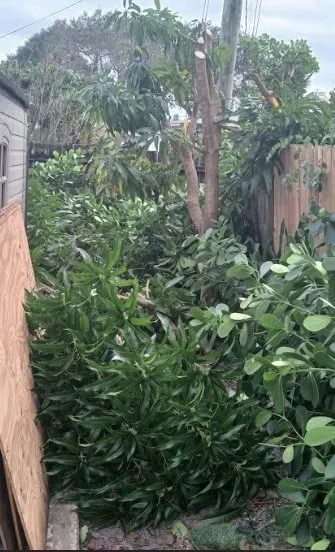 Custom yard maintenance in West Palm Beach, FL - Pyramide Services