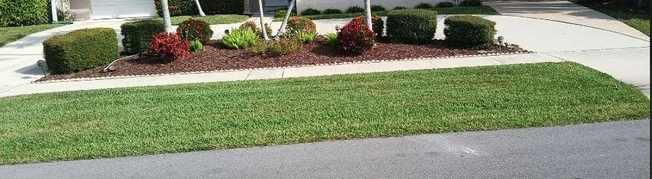 Local landscape installation experts serving West Palm Beach, FL - Pyramide Services