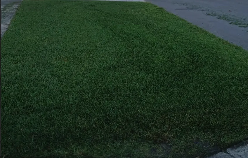 Custom landscaping services in West Palm Beach, FL - Pyramide Services