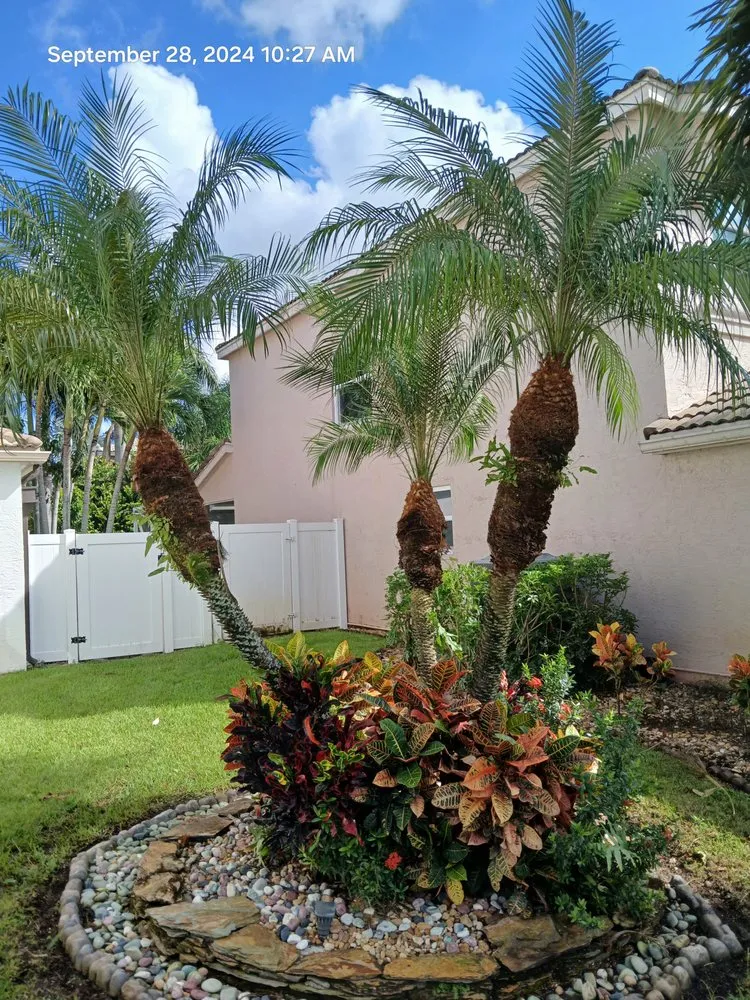 Local yard cleanup service with custom design across West Palm Beach, FL - Pyramide Services