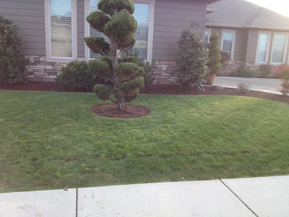 Affordable outdoor landscaping for homes across White City, OR - PZA Maintenance