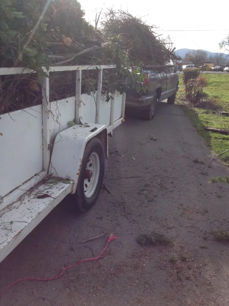 Local yard cleanup service for beautiful yards across White City, OR - PZA Maintenance