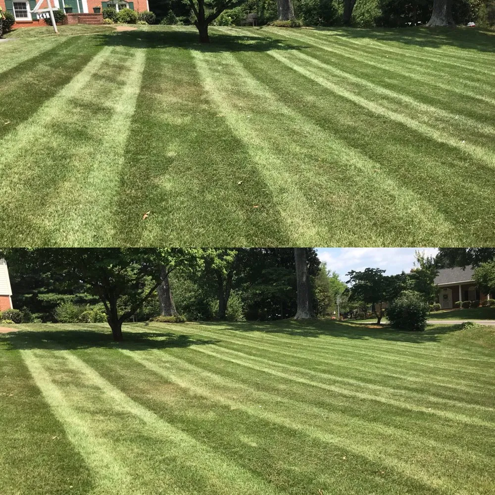 Professional yard maintenance in Madison Heights, VA by Q & H Lawn Care