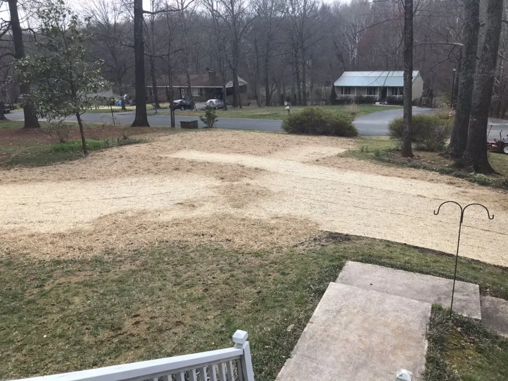 Professional yard cleanup service for residential properties in Madison Heights, VA by Q & H Lawn Care