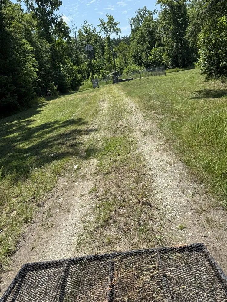 Expert landscape installation for outdoor upgrades across Clinton, SC - Q & J Services