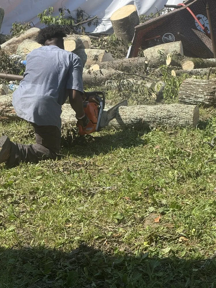 Affordable yard cleanup service in Clinton, SC - Q & J Services