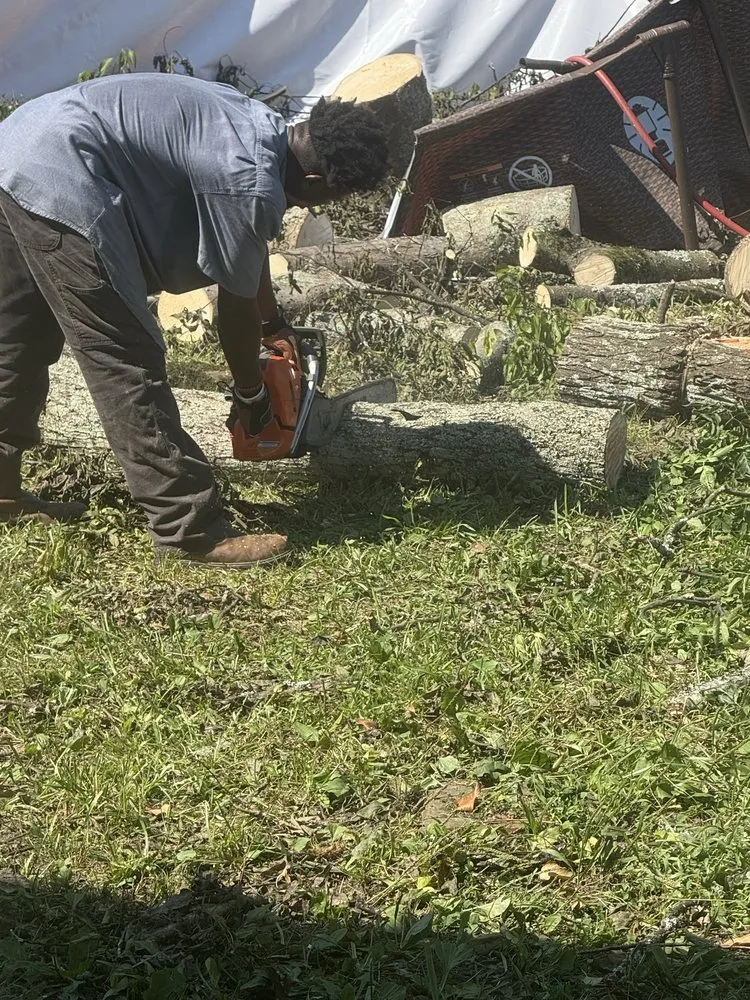 Professional lawn mowing service experts serving Clinton, SC - Q & J Services