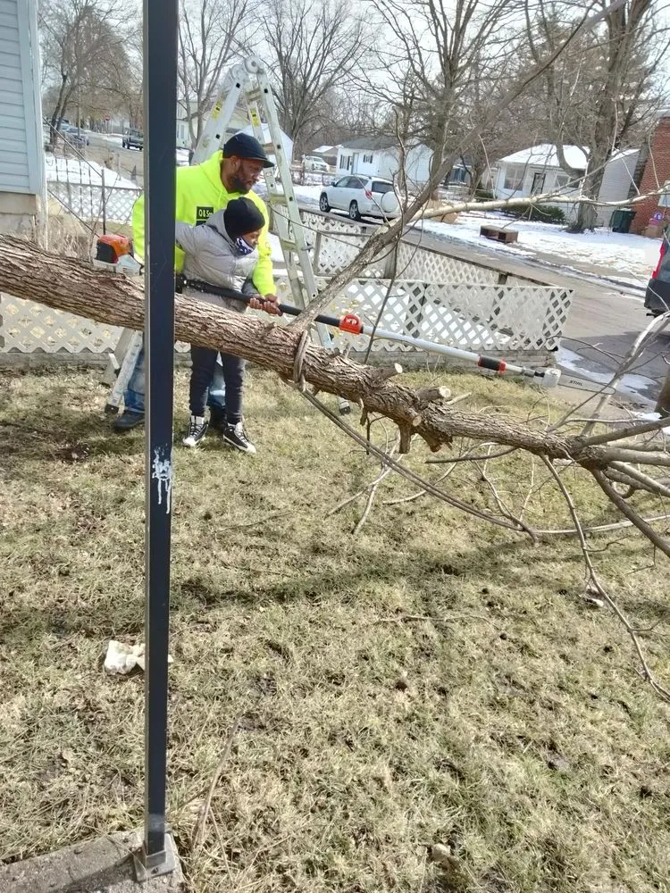 Expert garden landscaping for residential properties in Columbus, OH by Q & Son's Hauling & Towing