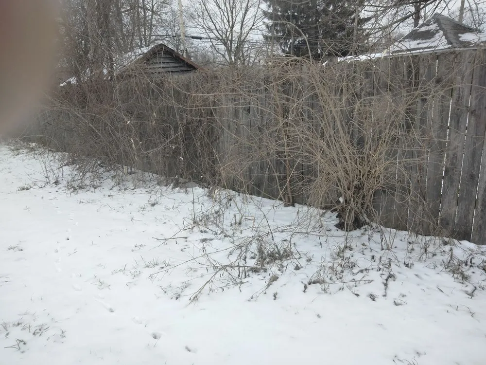 Expert landscape design in Columbus, OH by Q & Son's Hauling & Towing