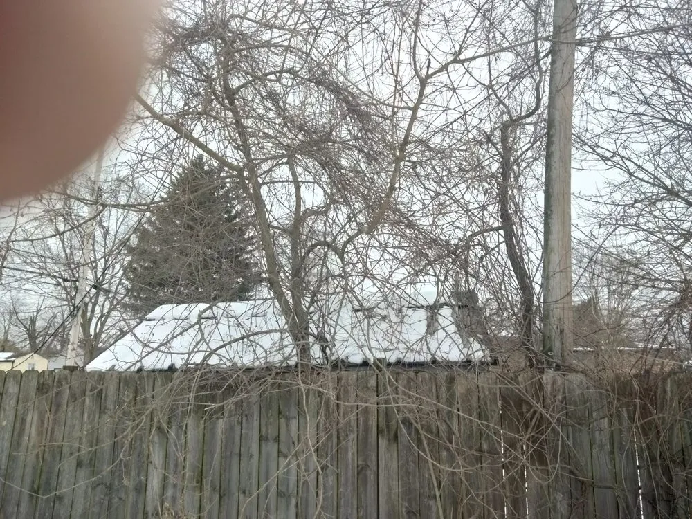 Affordable residential landscaping for year-round maintenance across Columbus, OH - Q & Son's Hauling & Towing