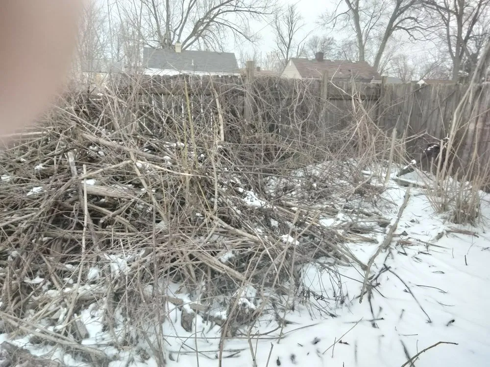 Affordable landscape installation for residential properties across Columbus, OH - Q & Son's Hauling & Towing