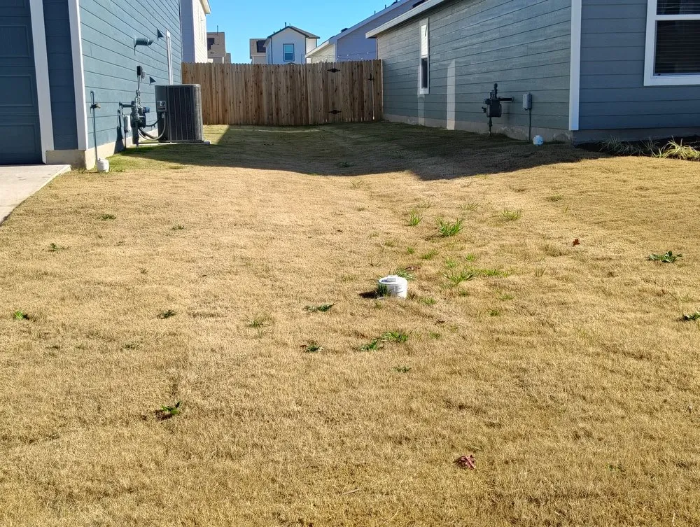 Expert landscaping services experts serving Luling, TX - Q A Landscaping and Pressure Washing