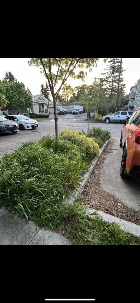 Professional landscape design for residential properties in Woodway, WA by Q and M Landscaping