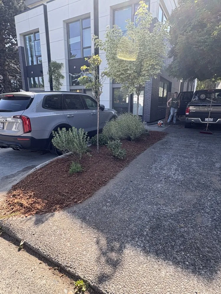 Trusted residential landscaping with custom design in Woodway, WA by Q and M Landscaping