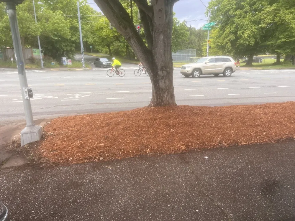 Professional yard maintenance near you in Woodway, WA by Q and M Landscaping