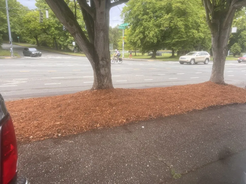 Expert lawn mowing service experts serving Woodway, WA - Q and M Landscaping