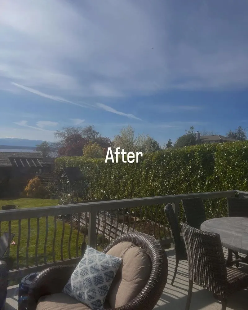 Trusted landscape design in Woodway, WA - Q and M Landscaping