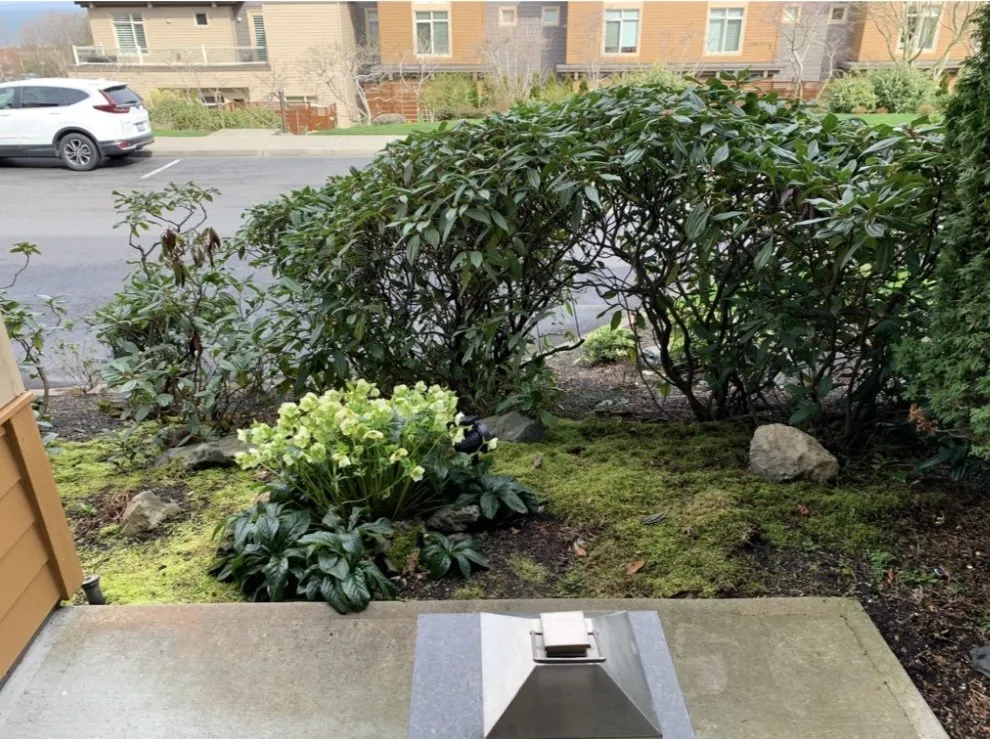 Local lawn mowing service for outdoor upgrades across Woodway, WA - Q and M Landscaping