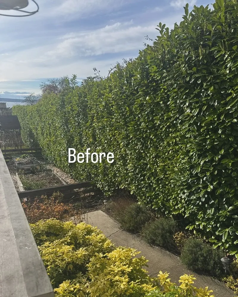 Custom residential landscaping for year-round maintenance in Woodway, WA by Q and M Landscaping