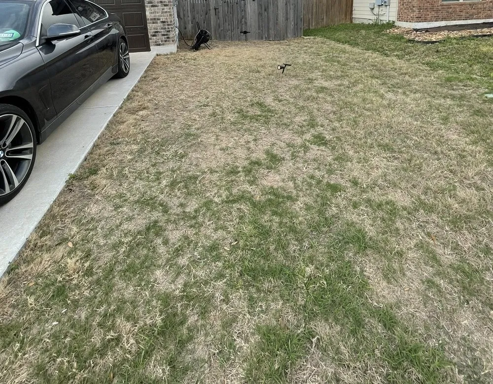 Reliable lawn care service in Uhland, TX - Q Landscape