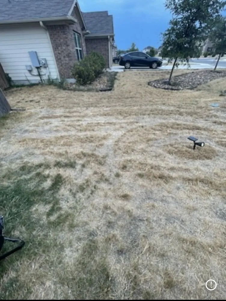 Reliable garden landscaping experts serving Uhland, TX - Q Landscape