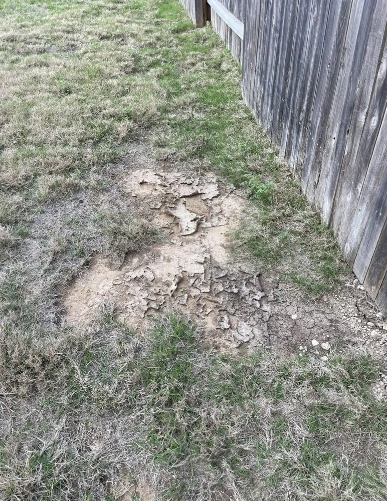 Top-rated residential landscaping for homes across Uhland, TX - Q Landscape