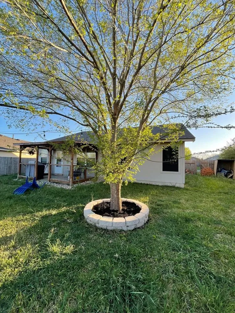 Expert landscape design for residential properties across Uhland, TX - Q Landscape