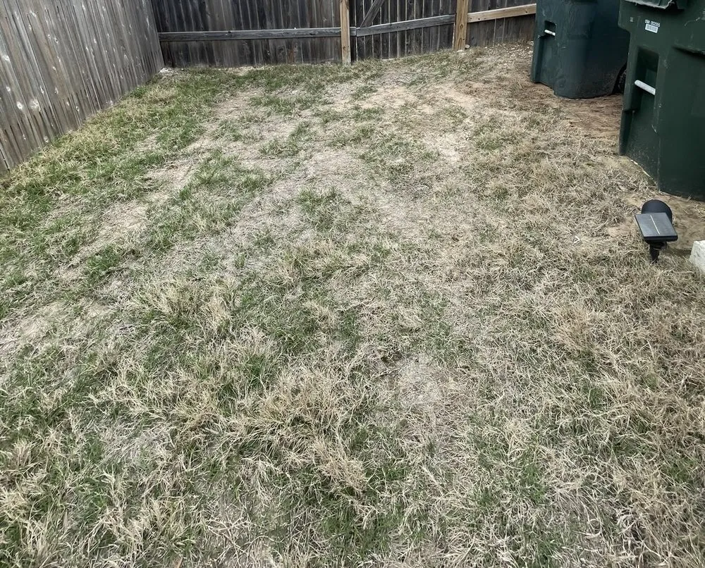 Top-rated yard maintenance experts serving Uhland, TX - Q Landscape