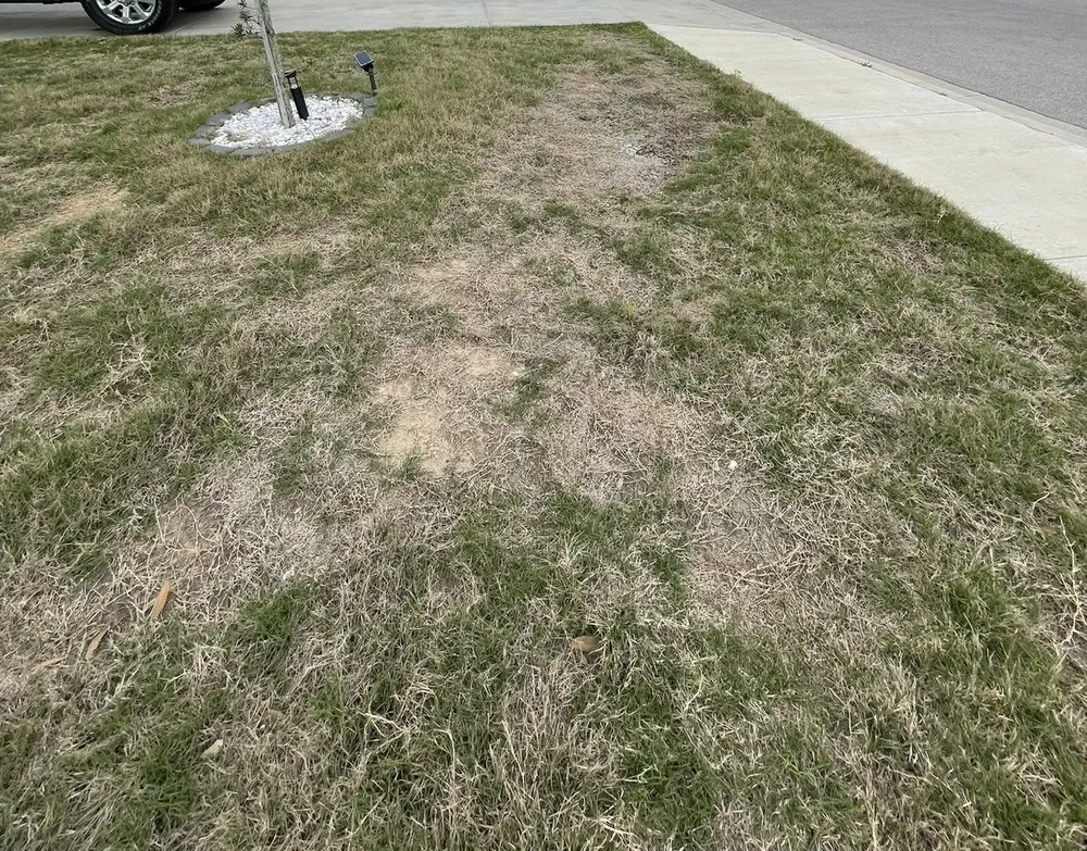 Local residential landscaping for residential properties across Uhland, TX - Q Landscape