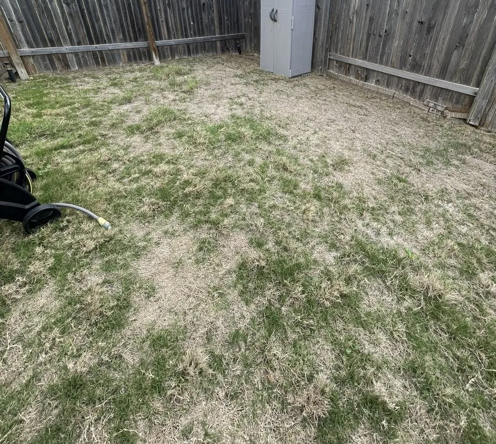 Affordable residential landscaping in Uhland, TX by Q Landscape